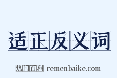 适正反义词是什么意思的图片
